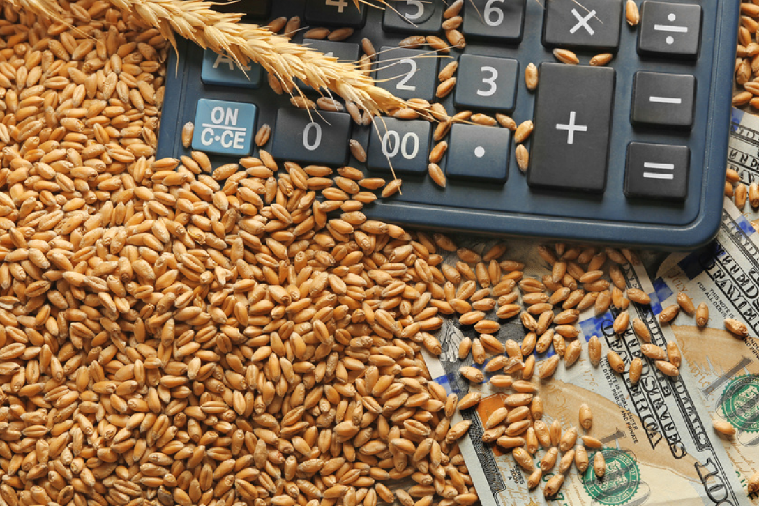 Как установить оптимальные цены на сельхозпродукцию на B2B маркетплейсе?
