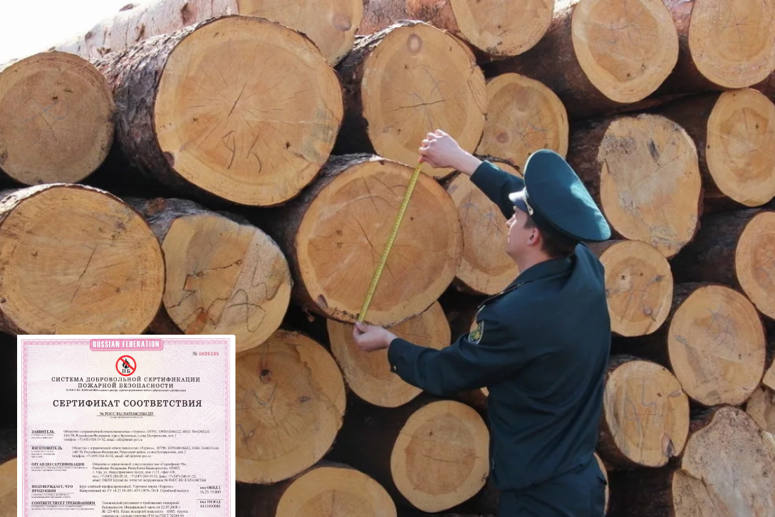 Роль сертификации и контроля качества при продаже леса и пиломатериалов на B2B маркетплейсе