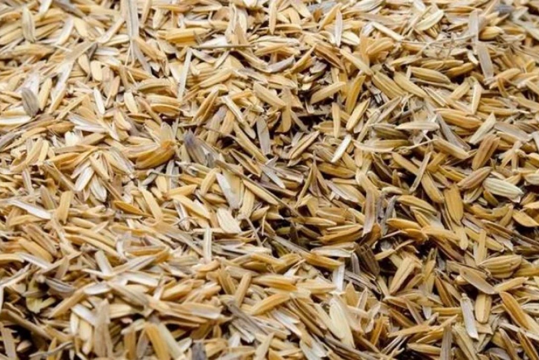 Кожура зерна. Rice Husk Ash. Лузга (шелуха) овсяная. Лузга пшеничная. Рисовая лузга.