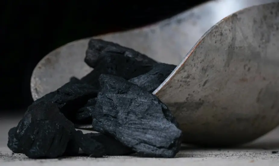 Ученые научились добывать кормовой белок из угля