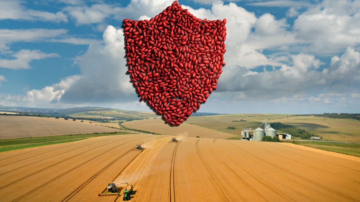 Кинто Плюс от компании АгроХимСервис на b2b маркетплейсе