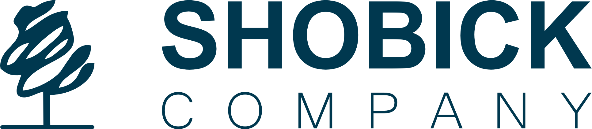 ИП Шобик Виктория Юрьевна