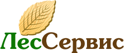 ООО "ЛЕССЕРВИС12"