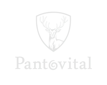 ООО "РЕВИТАЛ"