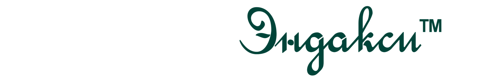 ООО "ЭНДАКСИ"