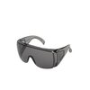 Очки Р1 тип Люцерна открытые, дымчатые