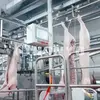 Линия убоя свиней из нержавеющей стали