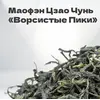 Чай зеленый Маофэн "Ворсистые Пики", весна 2024 г, 30 гр в банке