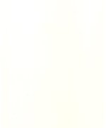 Пленка ПВХ 141313 Крем глянец