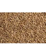 Пшеничный солод