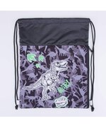 Мешок для обуви Дино