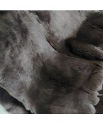 Пластина REX крашеная