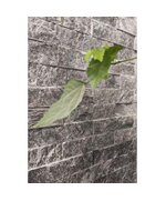 Рваный камень из "Талькохлорита" 