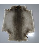 Бобр натуральный стриженый