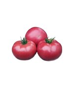 Томат розовый