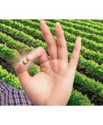 Дэлит Про, протравитель семян