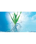 Иншур Перформ, протравитель семян