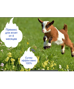 Премикс для ягнят до 4 мес.