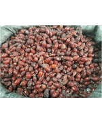 Шиповник сушеный