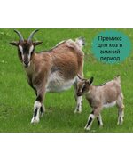 Премикс для коз (зимний период)