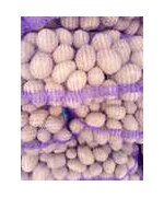 Картофель Гала