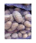 Картофель Анна