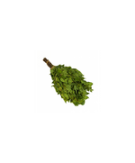 Березовый веник