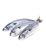 Скумбрия н/р морож. 300-600 г