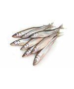 Мойва с/м н/р