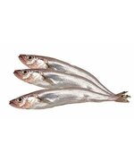 Путассу, с/м н/р