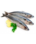 Скумбрия с/м н/р