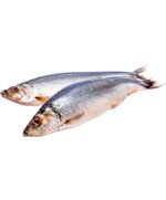 Сельдь т/о икряная