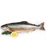 Голец н/р М (30+), «Дельта Фиш», рыба