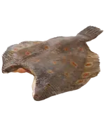 Камбала ёрш б/г 350+, икряная