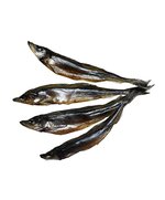 Корюшка Онежская