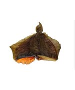 Камбала вяленая ИКРЯНАЯ