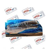 Филе Сайды с кожей проложенное