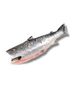 Горбуша ПБГ