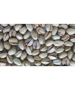 Фисташка механического раскрытия