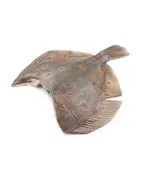 Камбала б/г 300-500 (6 кг., короб.)