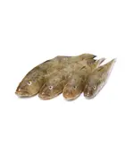 Бычок БГ Дальневосточный