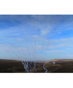 Пиротехника Ряд дневной 1,2"х10 белый дым с треском