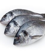 Дорадо н/р 300-400 1/5 Турция