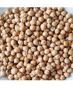 Нут продовольственный