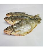 Плотва средняя вяленая НП