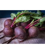 Свекла столовая