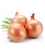 Лук репчатый