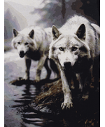 Картина Взгляд вожака