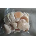 Морской гребешок ДВ