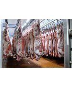 Говядина полутуши оптом от производителя